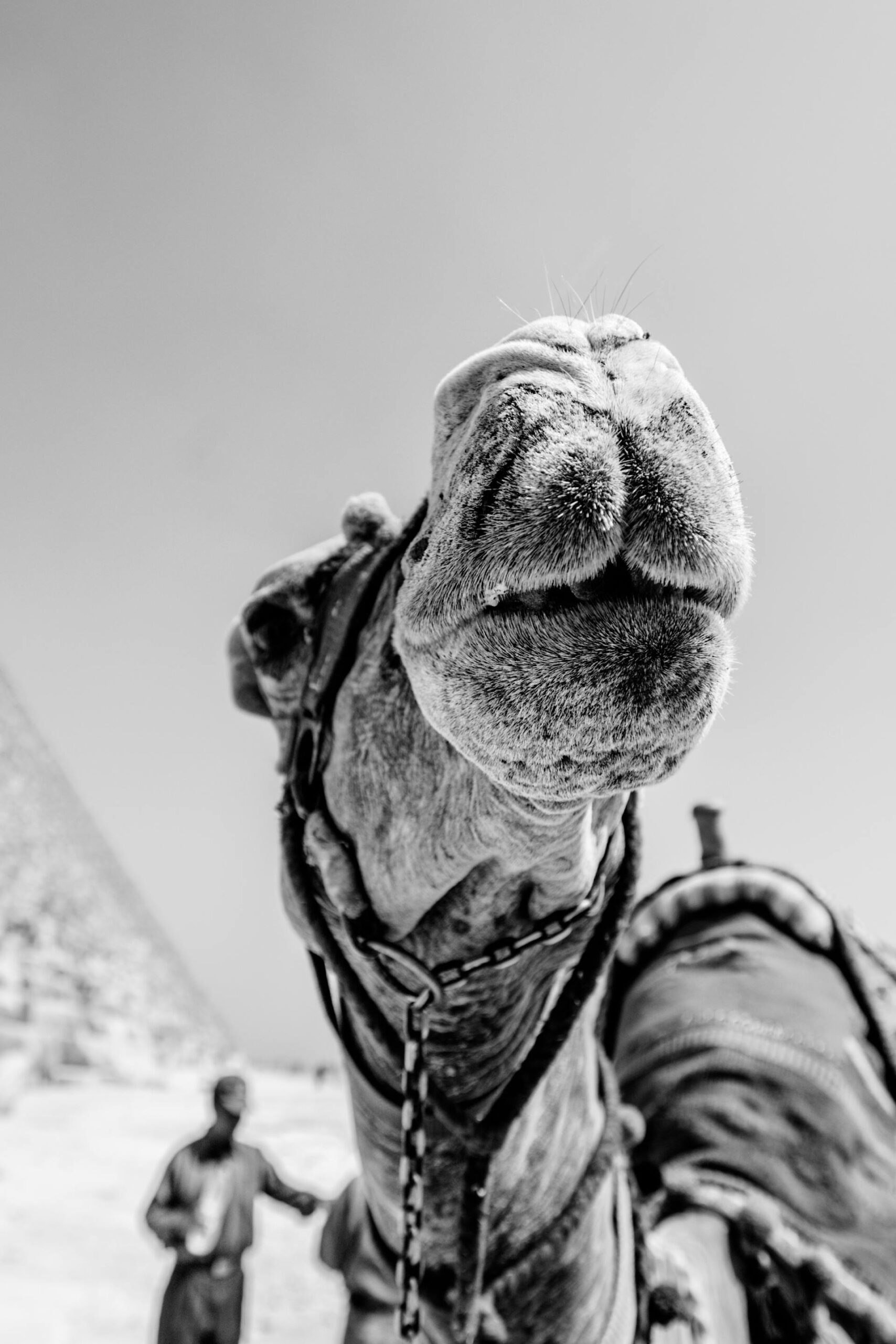 pexels-photo-1328416